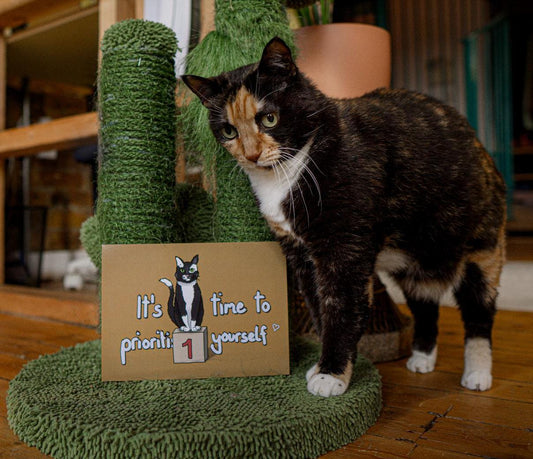 Cat Prioritise Yourself Art Print Self Love