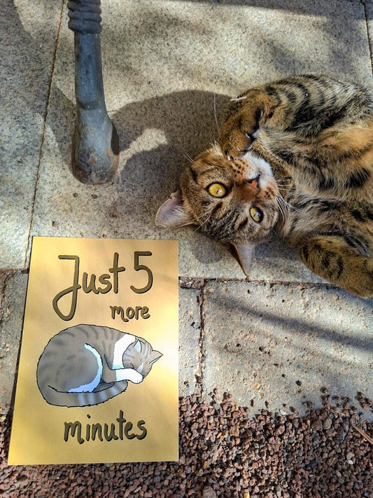 Cat Just 5 More Minutes Cute A5 Art Print Sleep Nap Cat